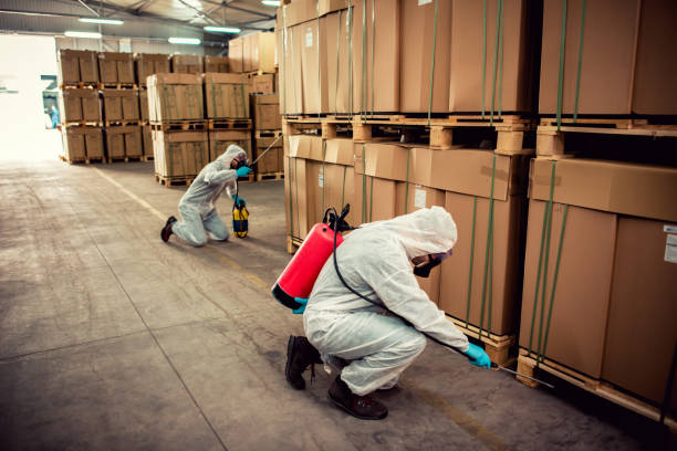 Best Bed Bug Extermination  in Plainwell, MI