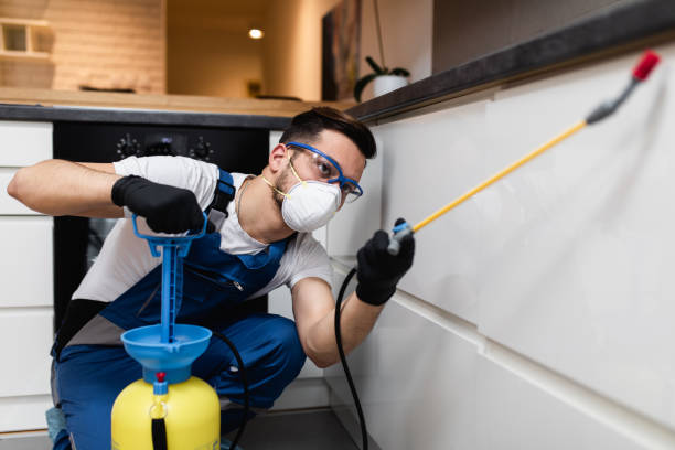 Best Mosquito Control Services  in Plainwell, MI