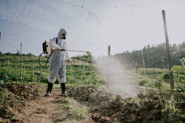 Best Local Pest Control Services  in Plainwell, MI