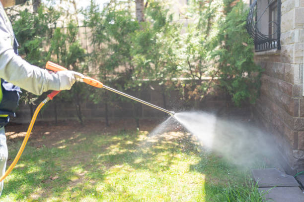 Best Affordable Pest Control Services  in Plainwell, MI