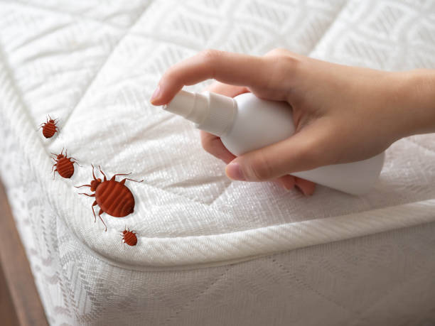 Best Pest Inspection Near Me  in Plainwell, MI
