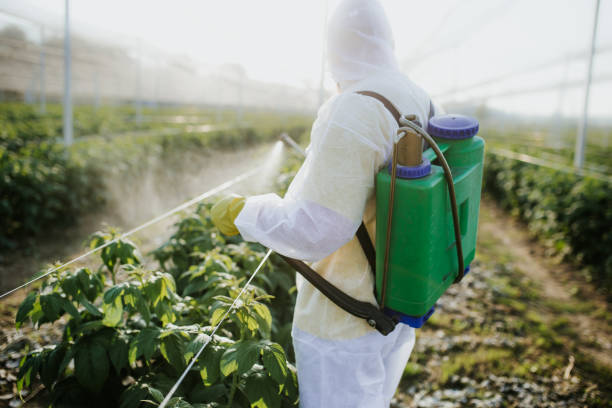 Plainwell, MI Pest Control Company
